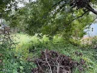 Property Photo: 0 Grace Avenue NC 27217