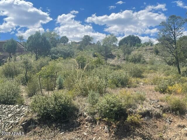Property Photo:  1238 Jordin Drive 60  AZ 86303 