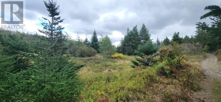 Property Photo:  101-121 Holdens Road  NL A0A 2P0 