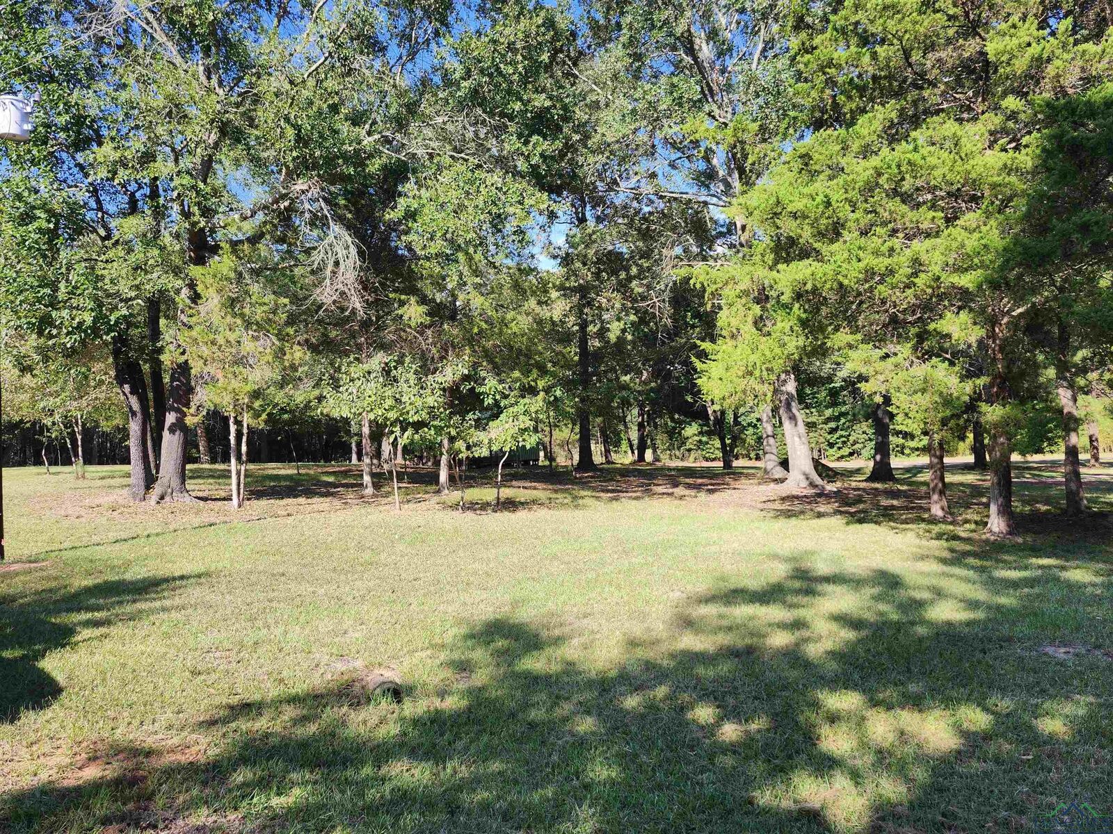 Property Photo: 12865 Fm 729 459 Bass St. TX 75563