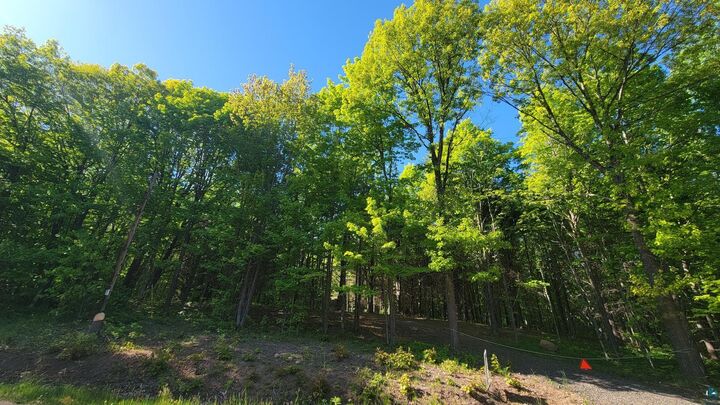 Property Photo:  11xxx Old Military Rd  WI 54814 