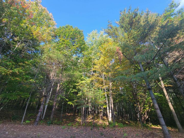 Property Photo:  11xxx Old Midway Rd Lot 1-20, Block 130  WI 54814 