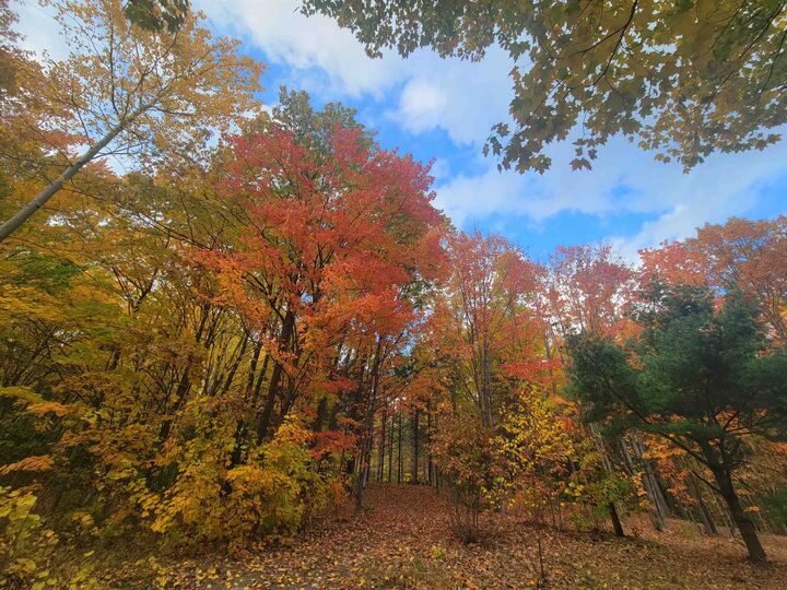 Property Photo: 11xxx Old Military Rd Lot 1-20, Block 130 WI 54814