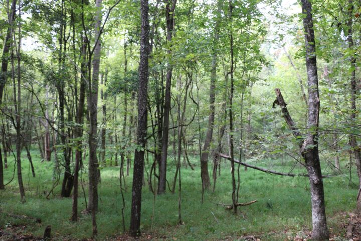 Property Photo: 1 Dotsonville Rd TN 37042