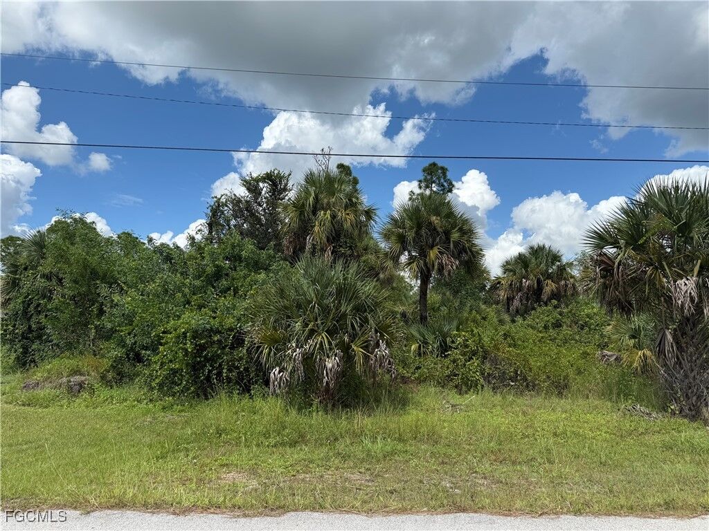 Property Photo:  1137 Rachel Street E  FL 33974 
