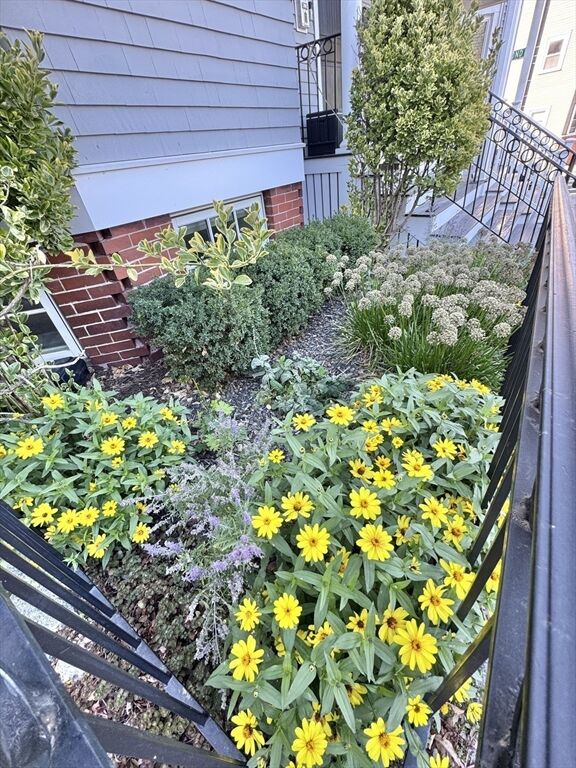 Property Photo:  29 M 2  MA 02127 