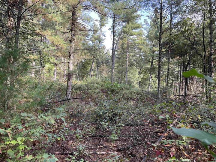 24486 Destiny Avenue  Tomah WI 54660 photo