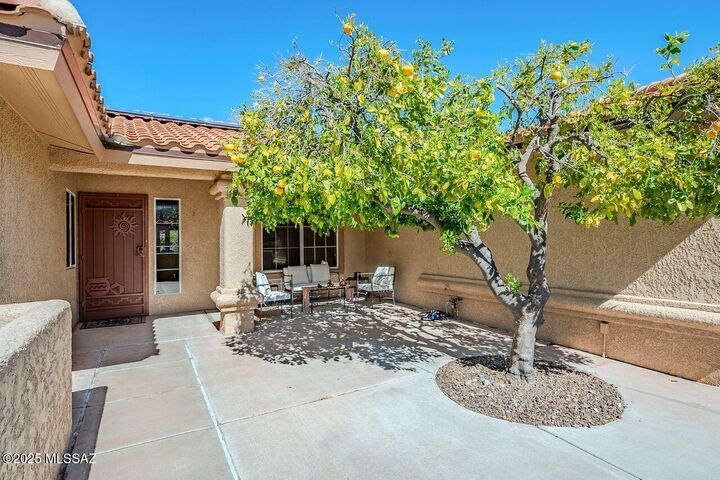 Property Photo:  14679 N Windshade Drive  AZ 85755 