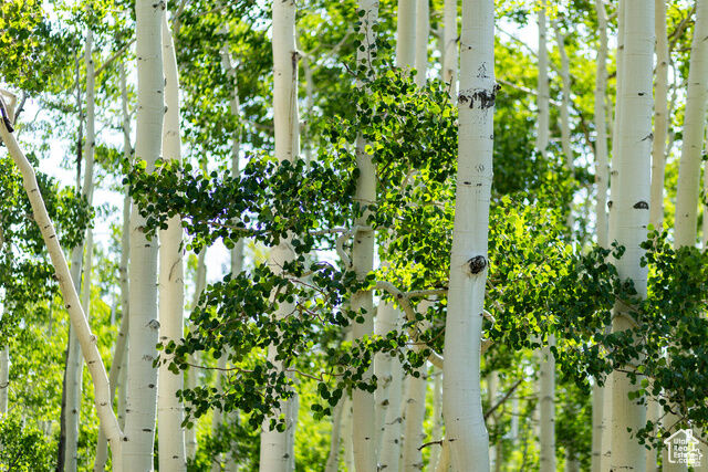 Property Photo:  5156 N Pebble Dr 75  UT 84049 