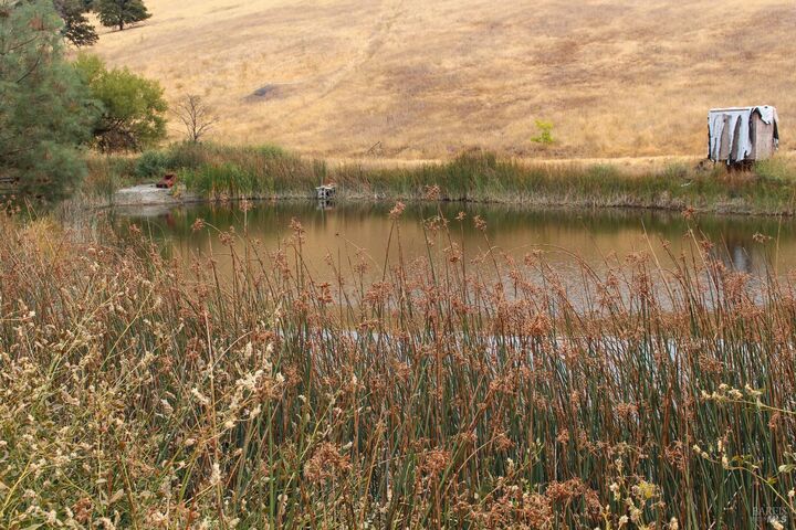 Property Photo:  8740 Rocky Creek Road  CA 95457 