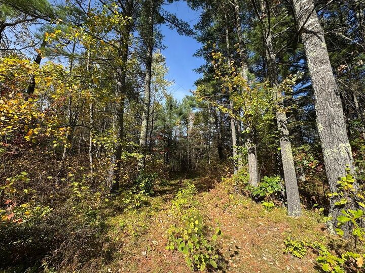 Property Photo: 0660W Hwy 51 WI 54547