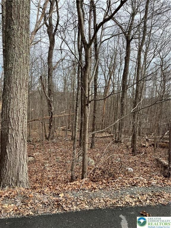 Property Photo: 119 Seneca Road PA 18210