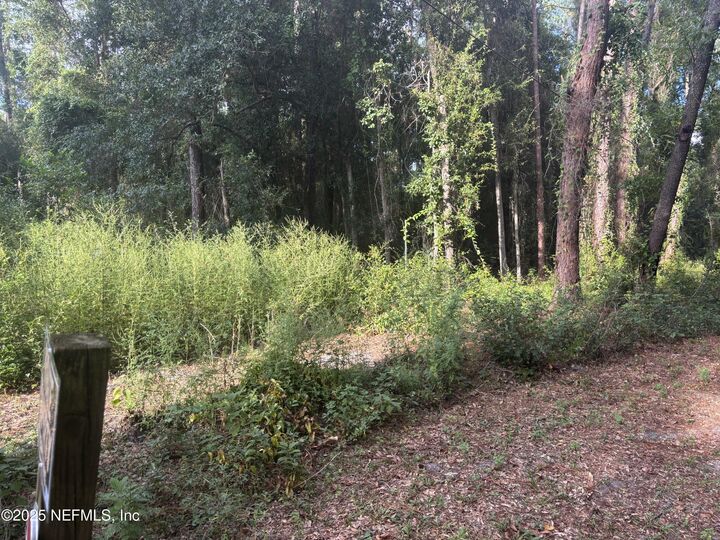 Property Photo:  3097 Bliss Road  FL 32065 