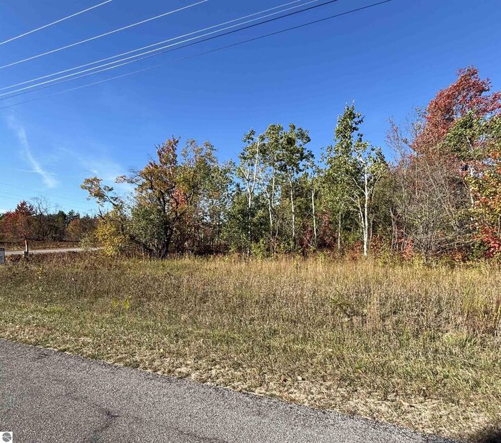 Property Photo: Lot 1200 Thornton Drive MI 49659