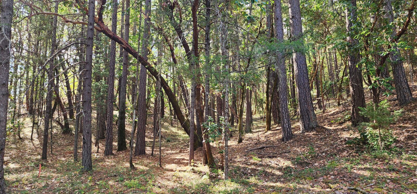 Property Photo: Pinecrest Drive OR 97526