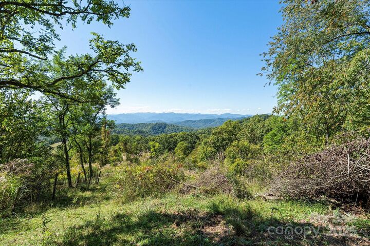 Property Photo:  1623 Ammons Branch Road  NC 28753 