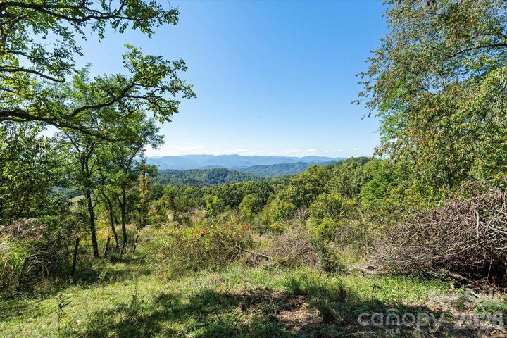Property Photo:  1623 Ammons Branch Road  NC 28753 