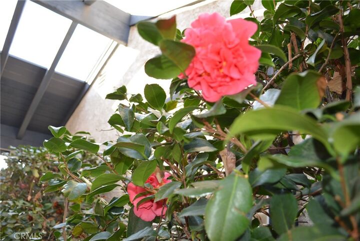 Property Photo: 520 Claraday Street 19 CA 91740