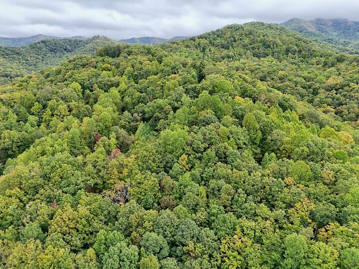 Property Photo: Lot 1 Skyview Drive NC 28904