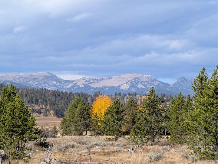Nhn Valentine Lane  West Yellowstone MT 59758 photo
