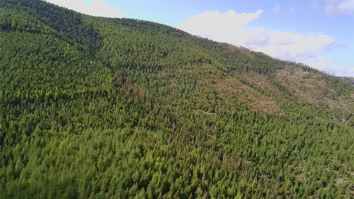 Property Photo:  Nhn W Fork Combest Creek Road  MT 59859 