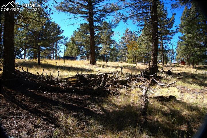 Property Photo: 252 Southpark Road CO 80816