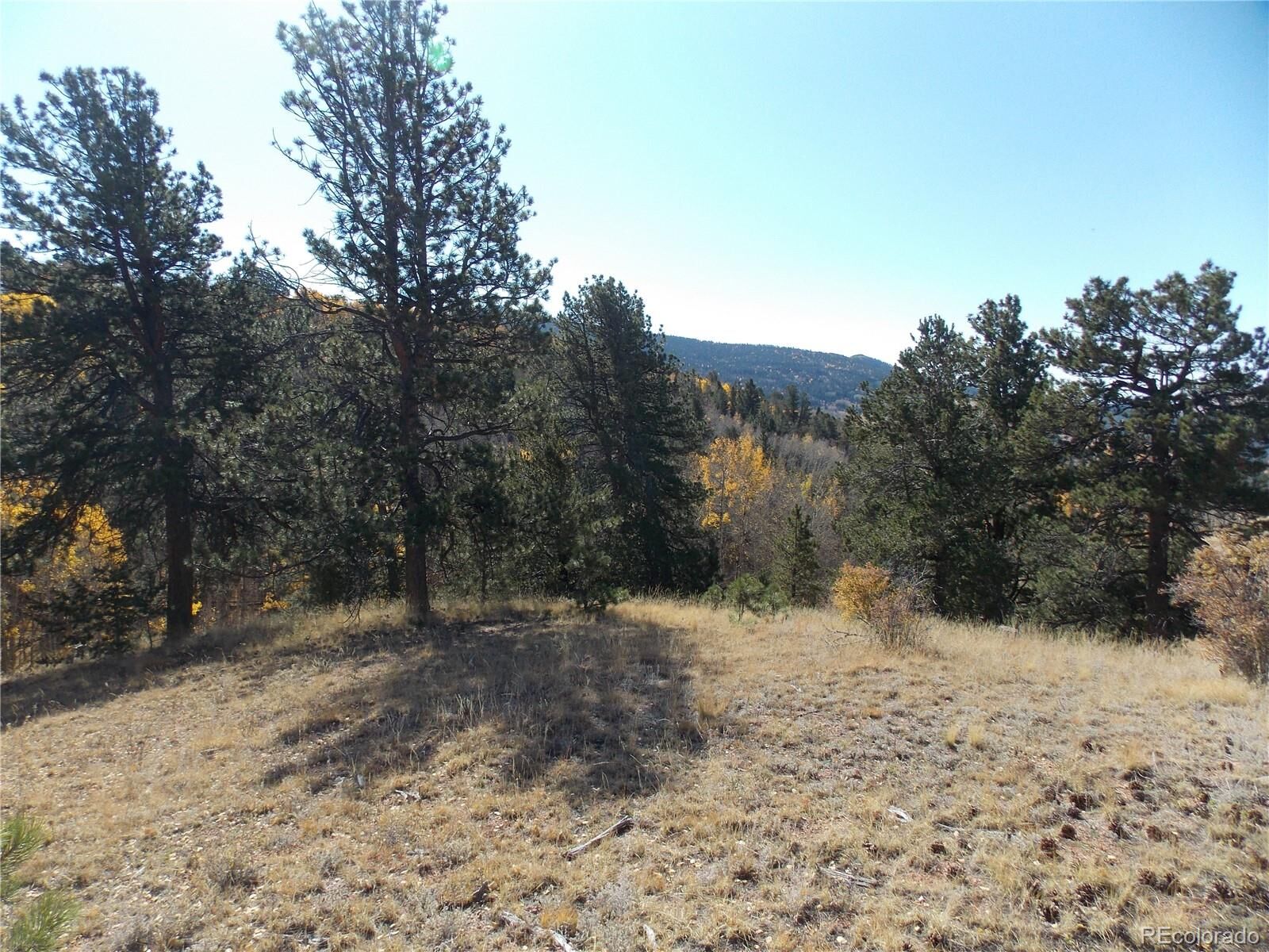 Property Photo:  1944 May Queen Drive  CO 80813 
