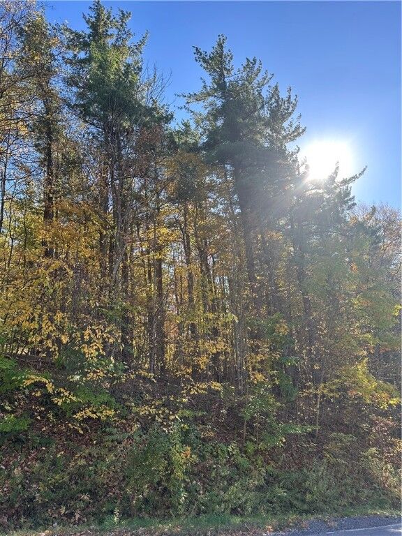 129 Hornbrook Road  Ithaca NY 14850 photo