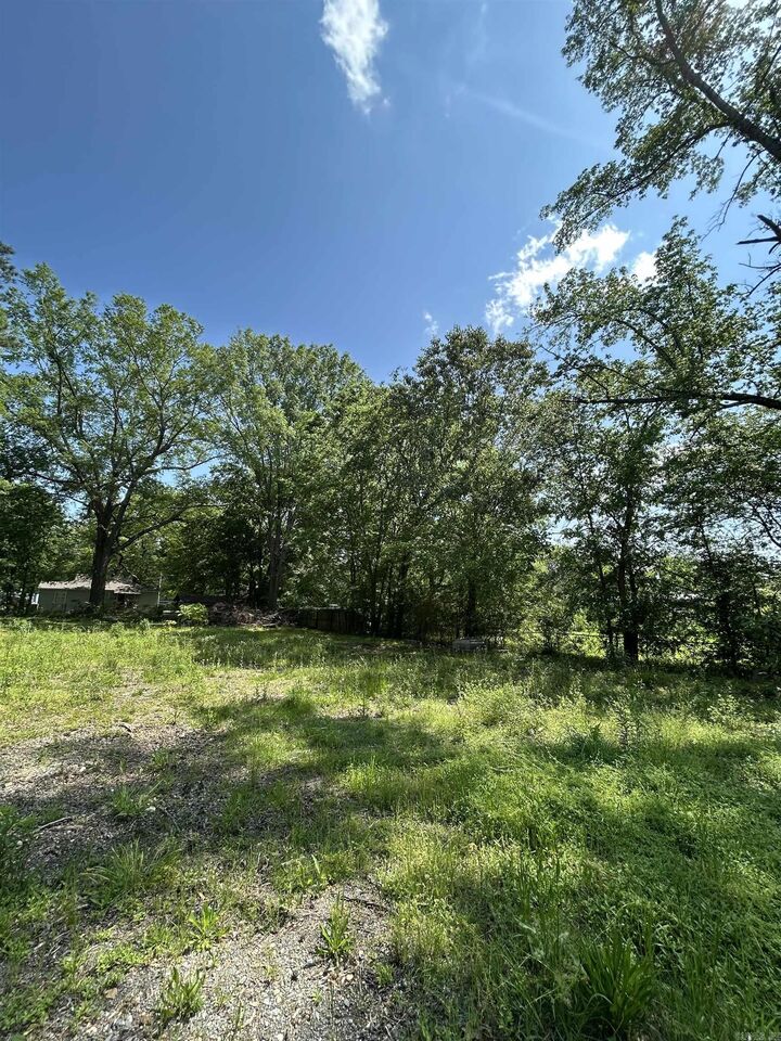 Property Photo:  10611 Woodman Street  AR 72103