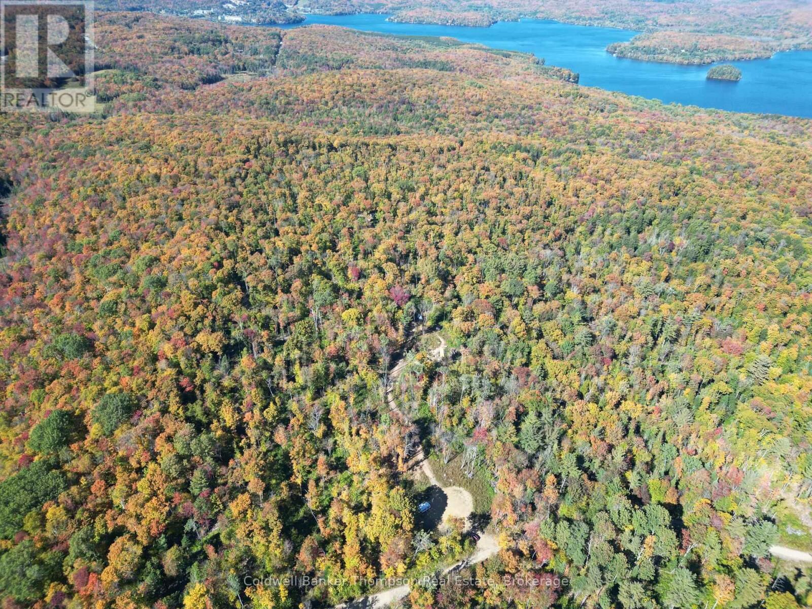 Property Photo: Lake Of Bays, The District Municipality Of Muskoka ON N0N 0N0