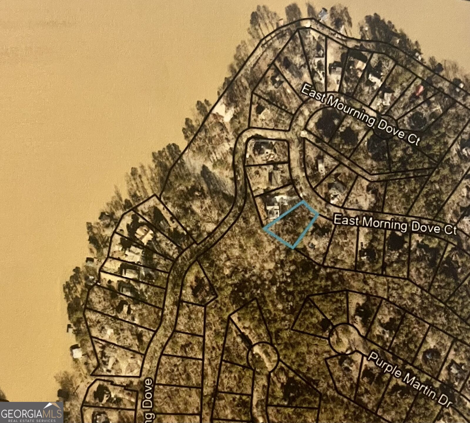 Property Photo: 0 E Mourning Dove Court Lot 50 GA 31064
