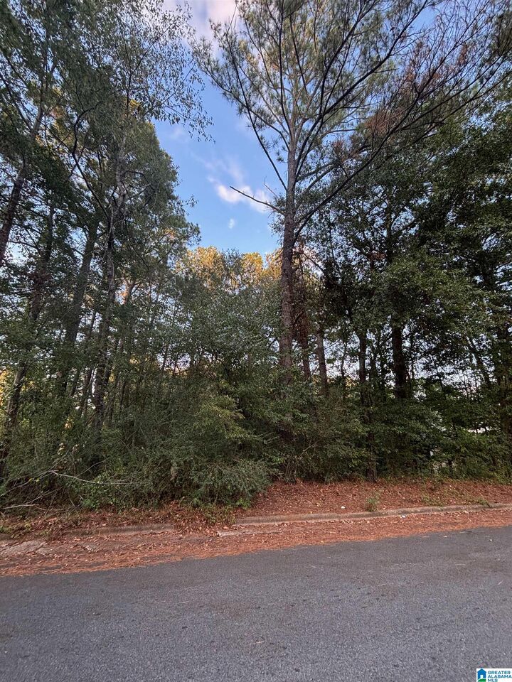Property Photo: 0 Sedgefield Drive 11 AL 35150