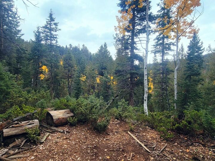 Property Photo:  55 S Quakie Place  UT 84762