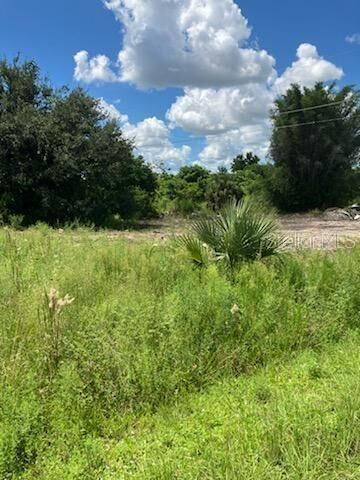 Property Photo: 2011 Calle Bonito FL 33982