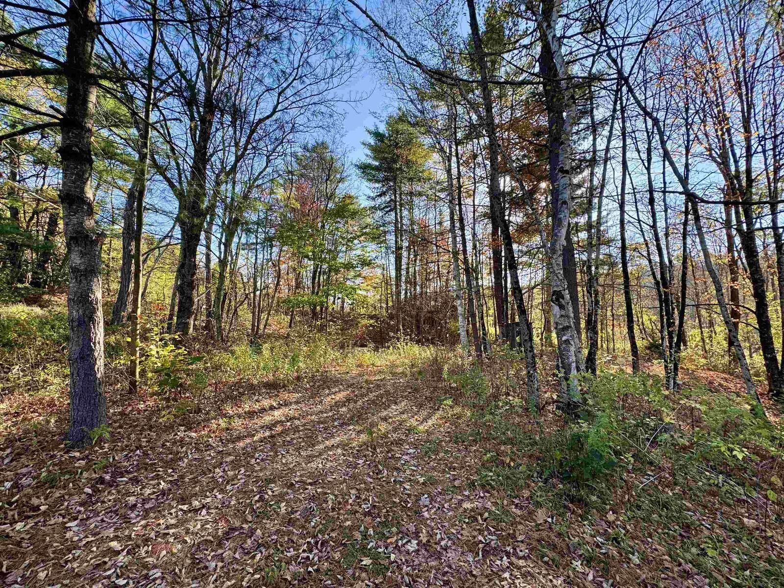 Property Photo:  0 Route 25C  NH 03779 