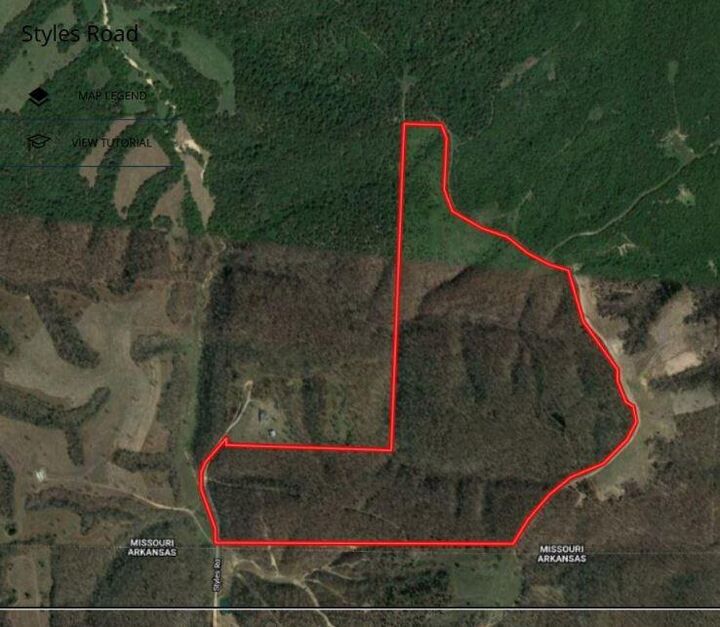 Property Photo:  Tract 11 Styles Road  MO 64854 