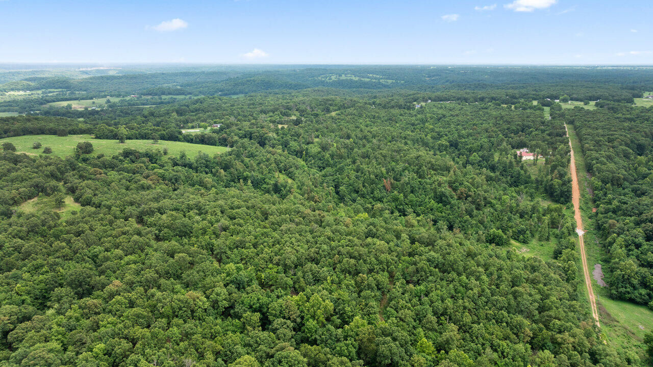 Property Photo: Tract 8 Styles Road MO 64854