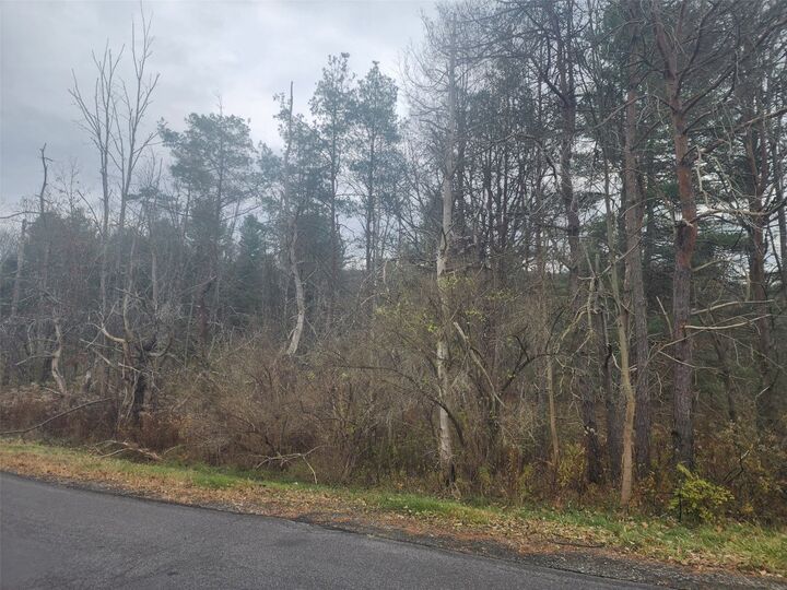 Property Photo: 238 Foster Road NY 13850