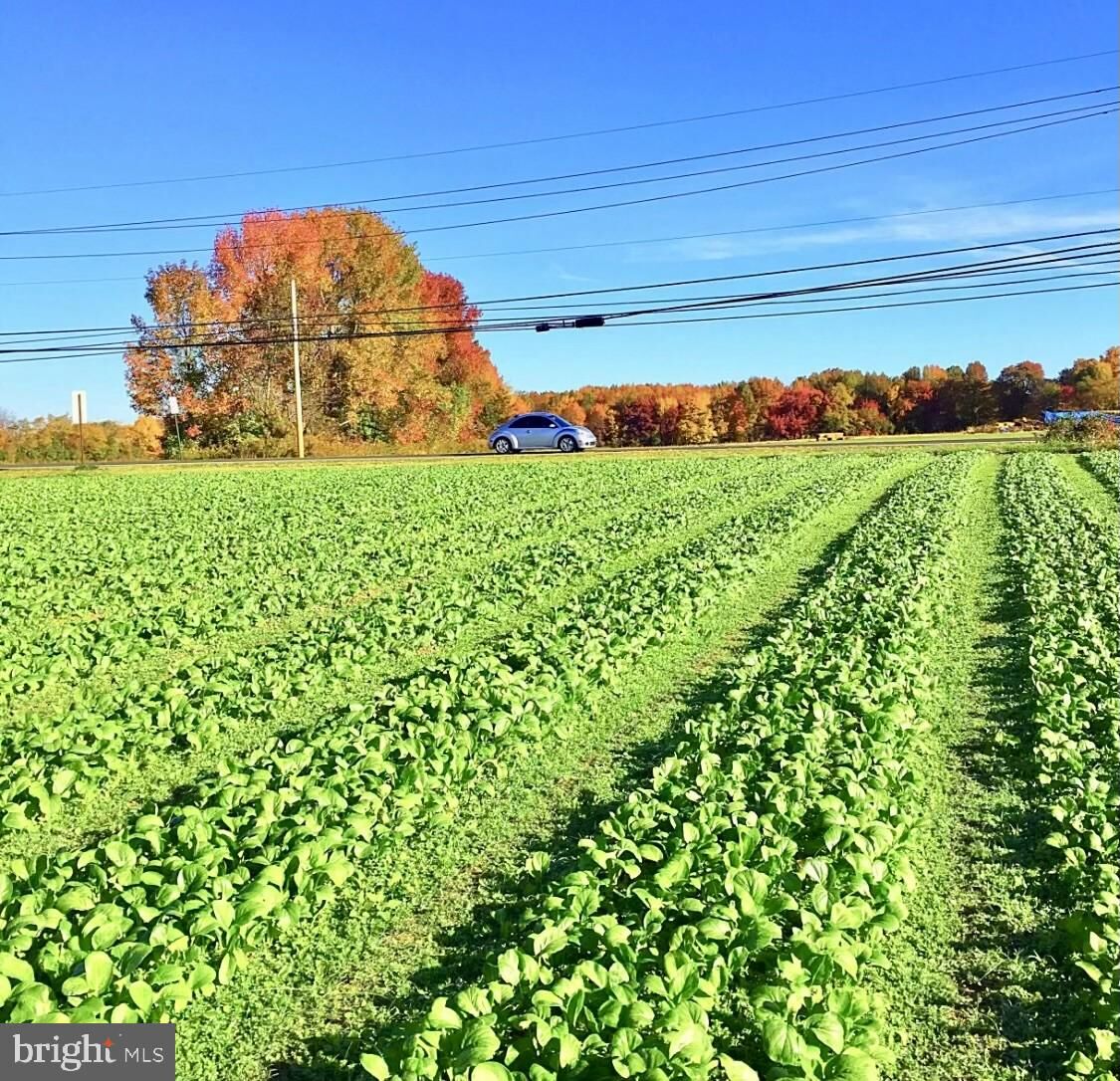 Property Photo: 248 Bordentown Chesterfield Road NJ 08515