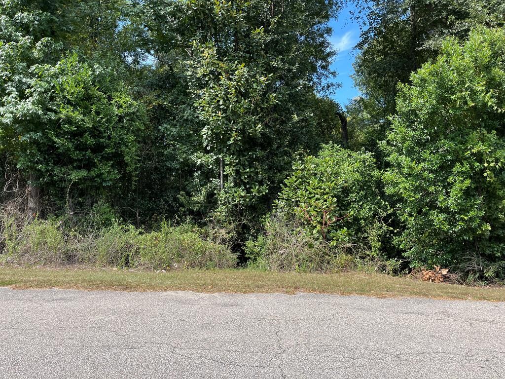 Property Photo: 0 12th Place AL 36869