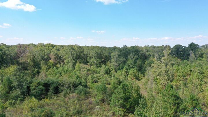 Property Photo:  0000 County Road 3546  TX 75572 
