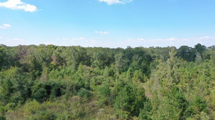 Property Photo: 0000 County Road 3546 TX 75572