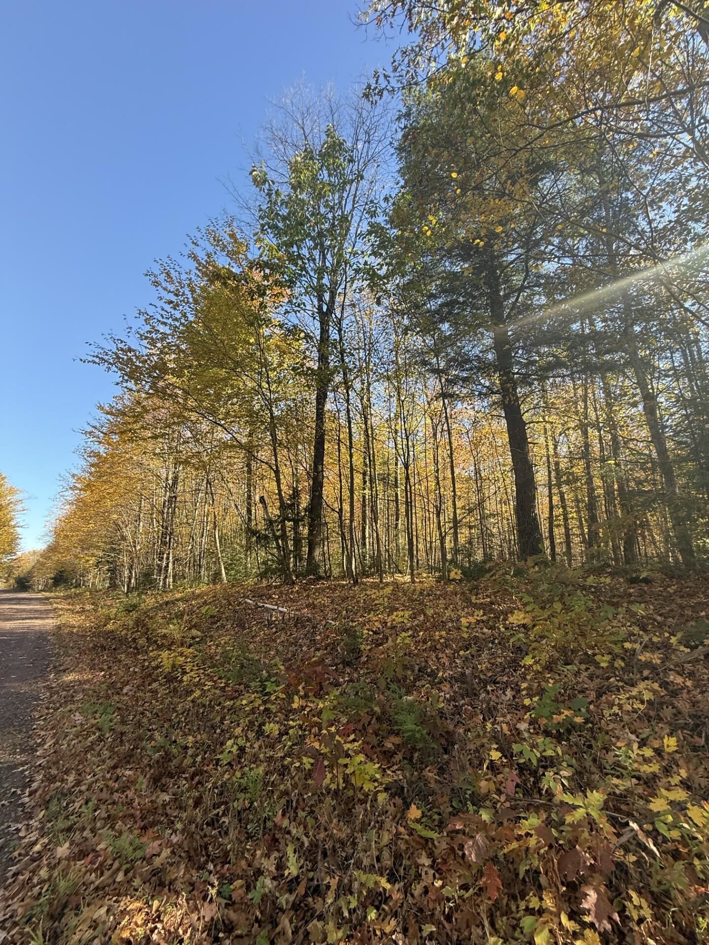 Property Photo: 0000 Ashland Bayfield Rd WI 54806
