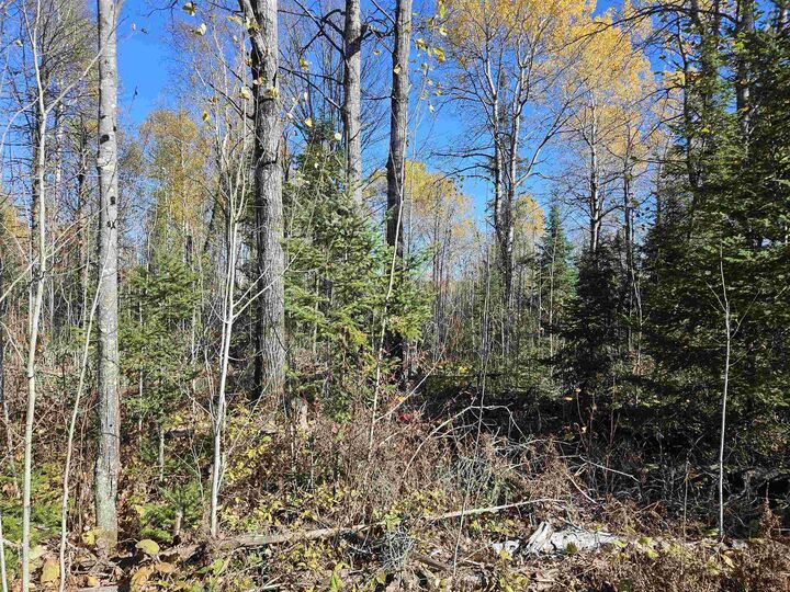 Property Photo: Xx Mattila Rd MN 55792