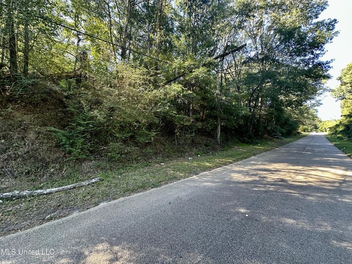 Property Photo:  0 Vernon Road  MS 39056 