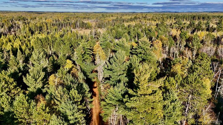 Property Photo:  Tbd34 Willett Lane  MI 49879 