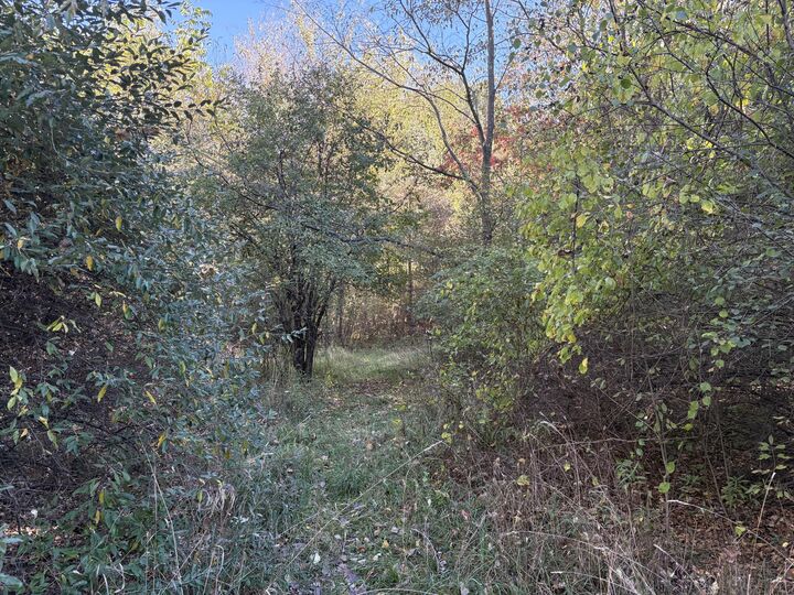 Property Photo: Vl 40 Clinton Way MI 49201
