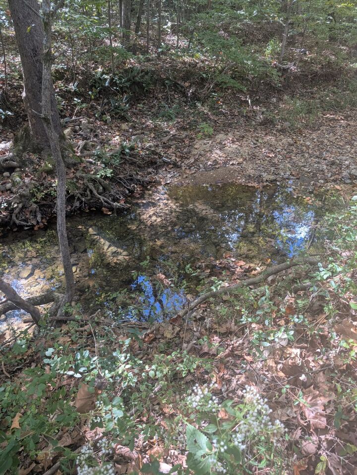 Property Photo:  2775 N Hurricane Creek Road  TN 37101 