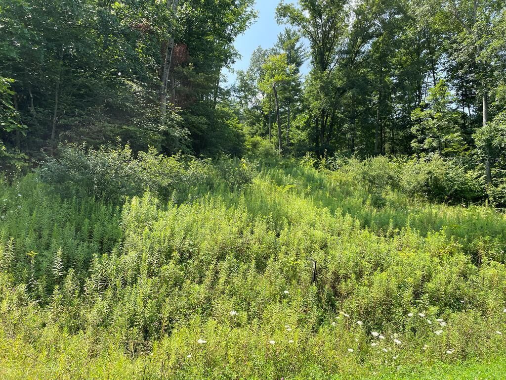 Property Photo: Lot 38A Hemlock Hills Rd PA 18848