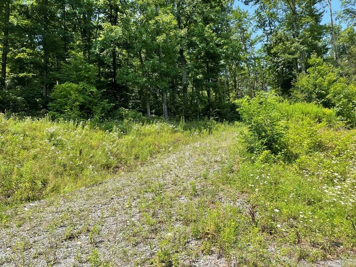 Property Photo: Lot 47A Hemlock Hills Rd PA 18848